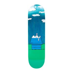 RIPNDIP NOT TODAY BOARD